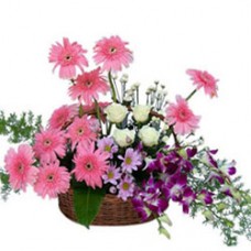 Premium Arrangement of Mixed Flowers